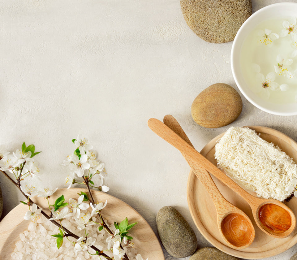 Best Ingredients Explained